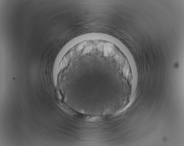 X0000116280186201001111043