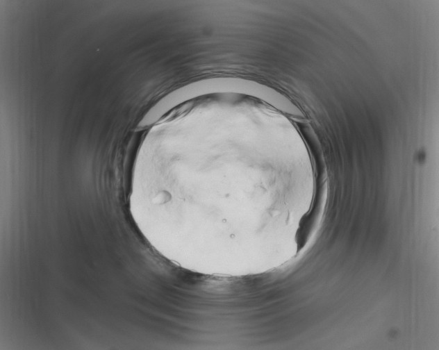 X0000116280190201001111043