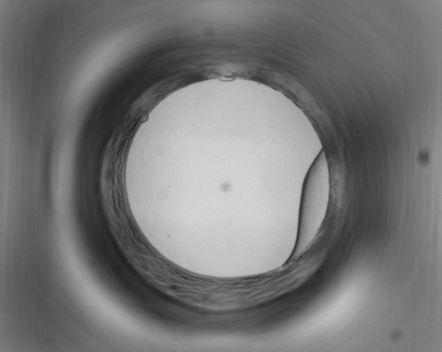 X0000116280191201001111043