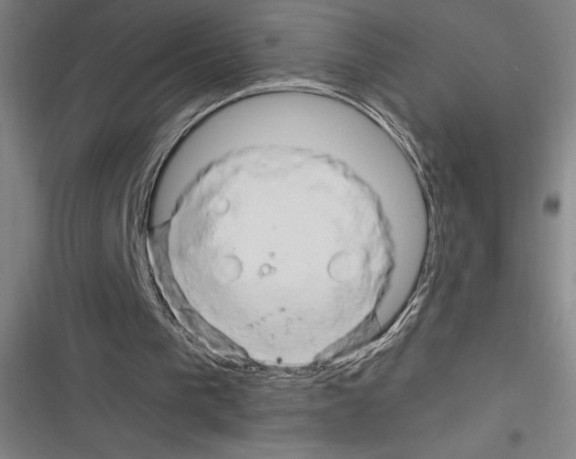 X0000116280193201001111043