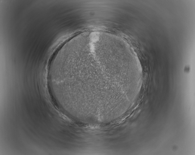 X0000116280194201001111043