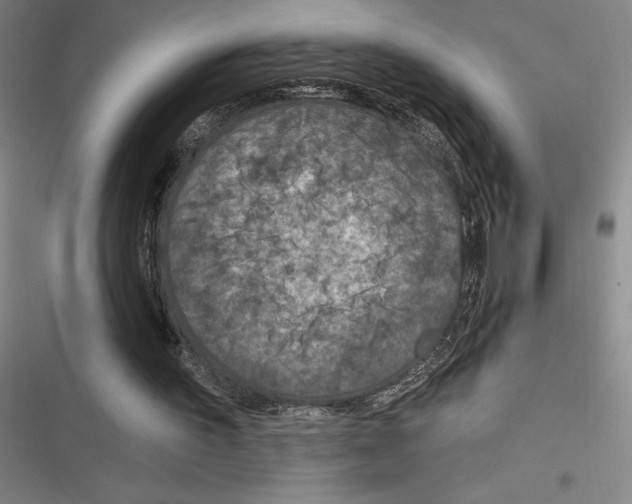 X0000116280195201001111043