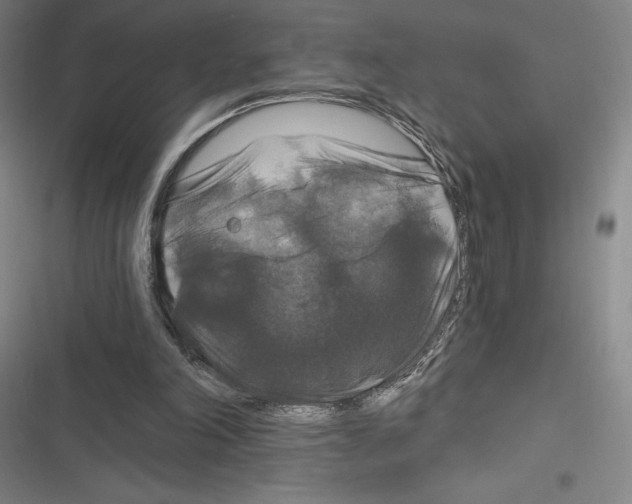 X0000116280198201001111042