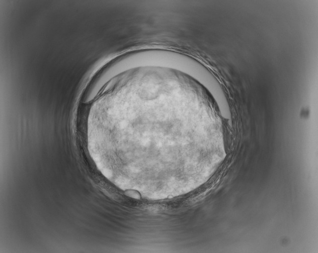 X0000116280200201001111042