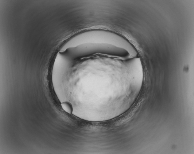 X0000116280201201001111042