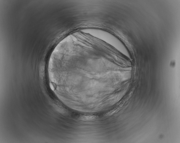 X0000116280202201001111042