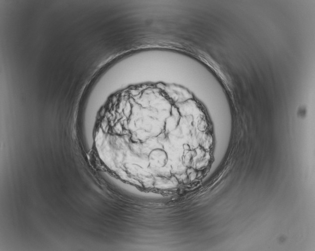 X0000116280203201001111042