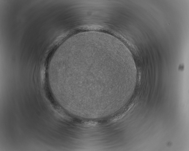 X0000116280206201001111042