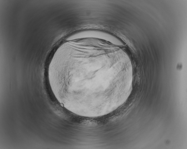 X0000116280207201001111042