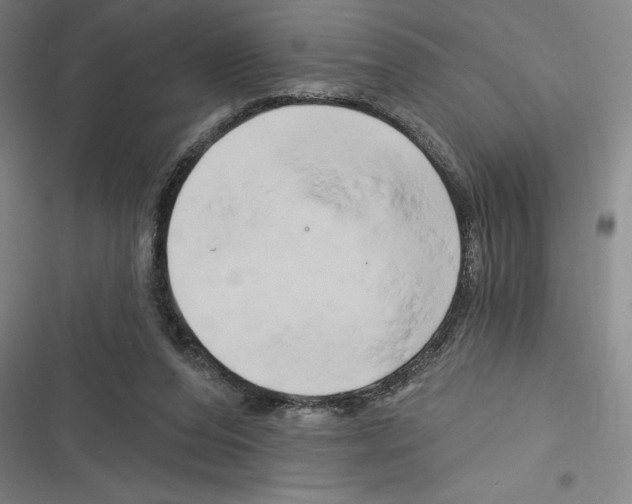 X0000116280208201001111042
