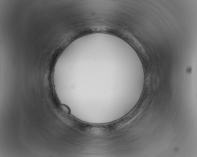 X0000116280209201001111042