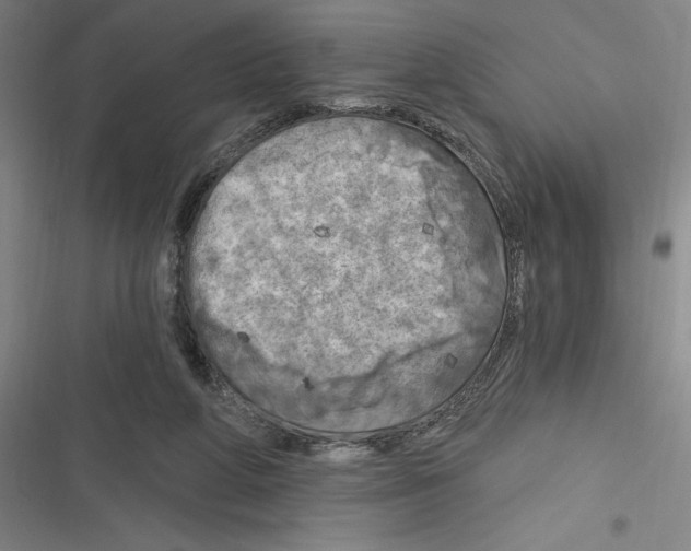 X0000116280210201001111042