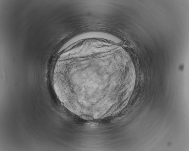 X0000116280211201001111042
