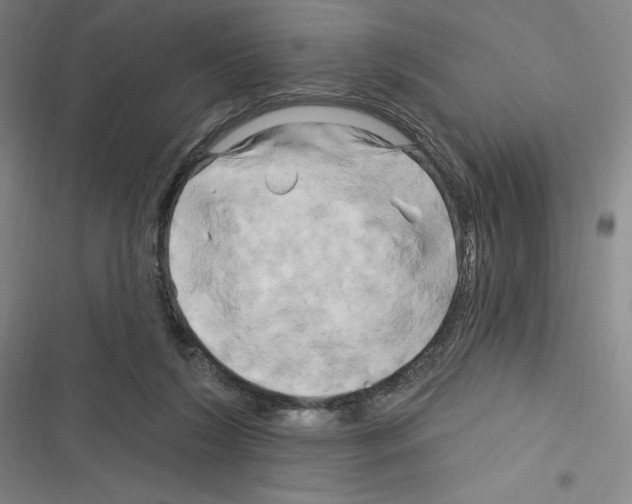 X0000116280212201001111042