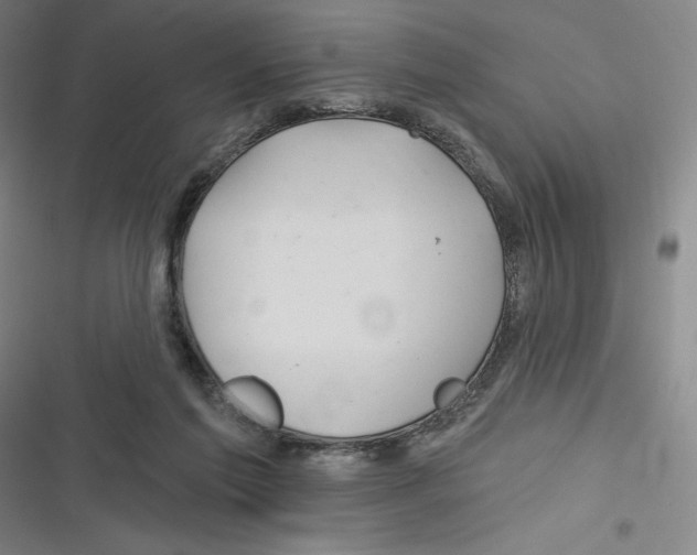 X0000116280213201001111042