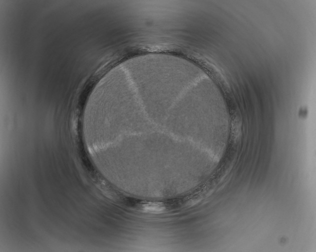 X0000116280214201001111042