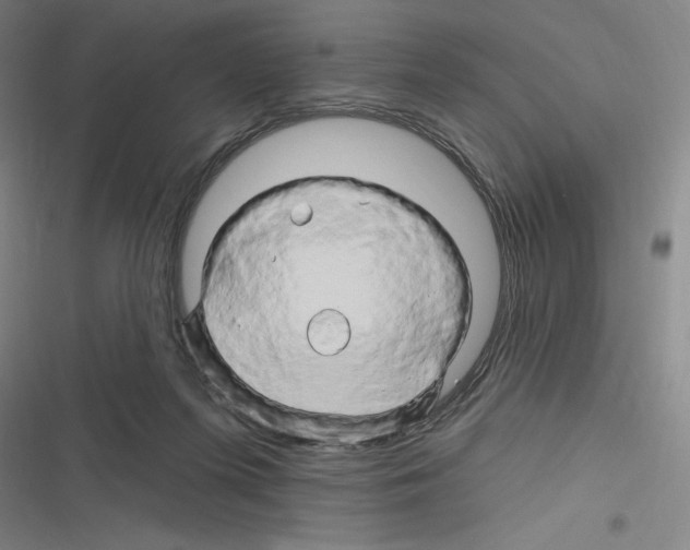 X0000116280215201001111042