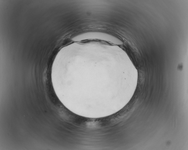 X0000116280216201001111042