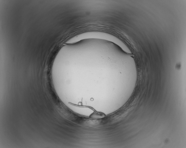 X0000116280217201001111042