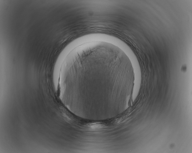 X0000116280219201001111042