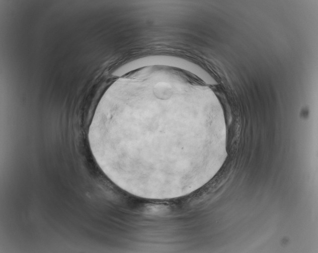 X0000116280220201001111042