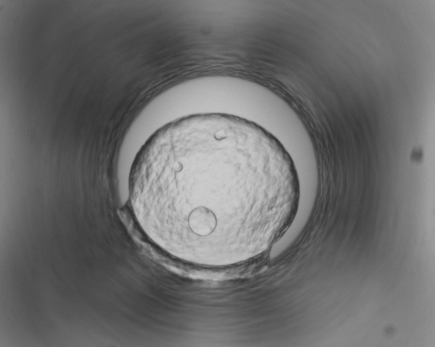 X0000116280221201001111042