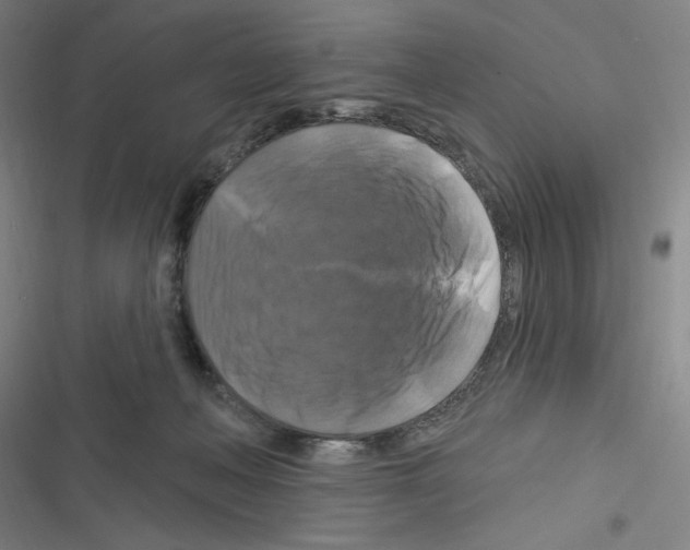 X0000116280222201001111042