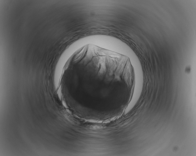 X0000116280223201001111042