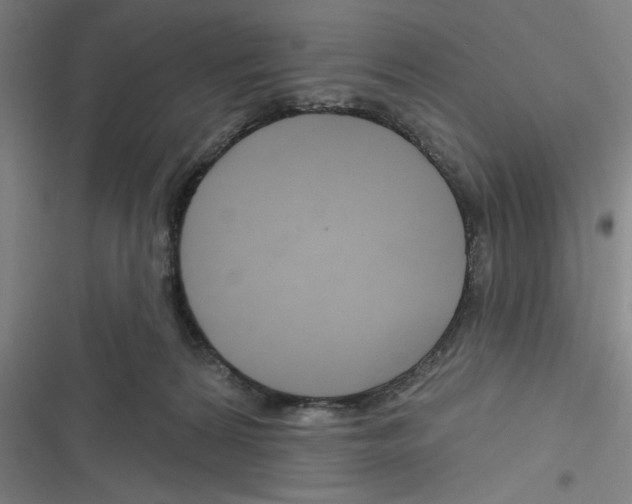 X0000116280224201001111042