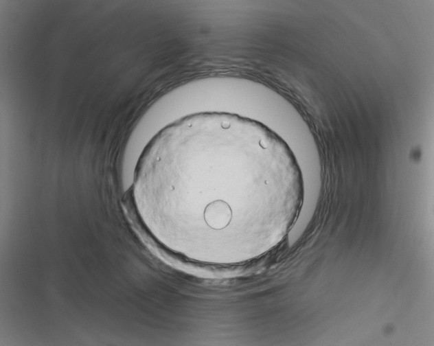 X0000116280225201001111042