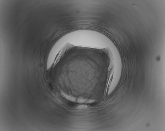 X0000116280227201001111042