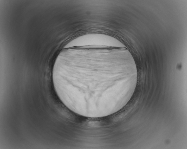 X0000116280228201001111042