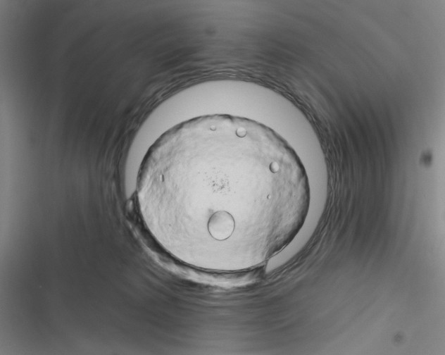 X0000116280229201001111042