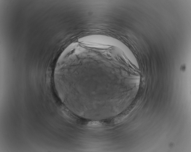 X0000116280231201001111042