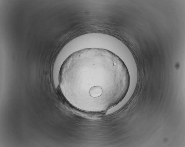 X0000116280233201001111042