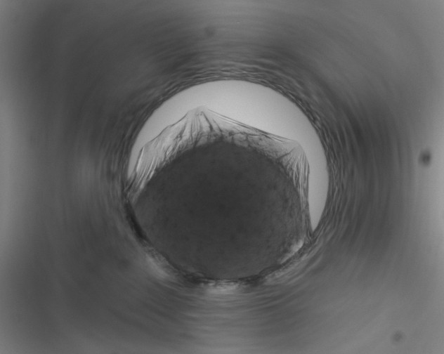 X0000116280235201001111042