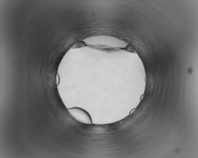 X0000116280236201001111042