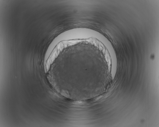 X0000116280237201001111042