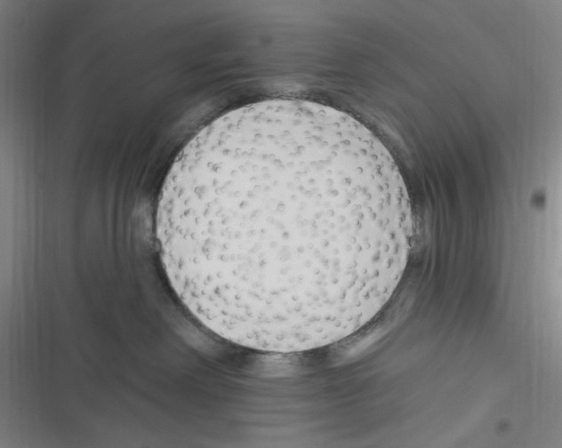 X0000116280238201001111042