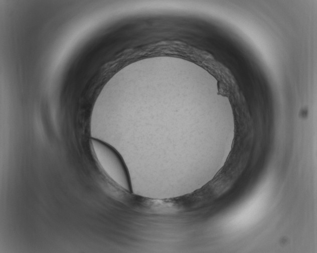 X0000116280239201001111042