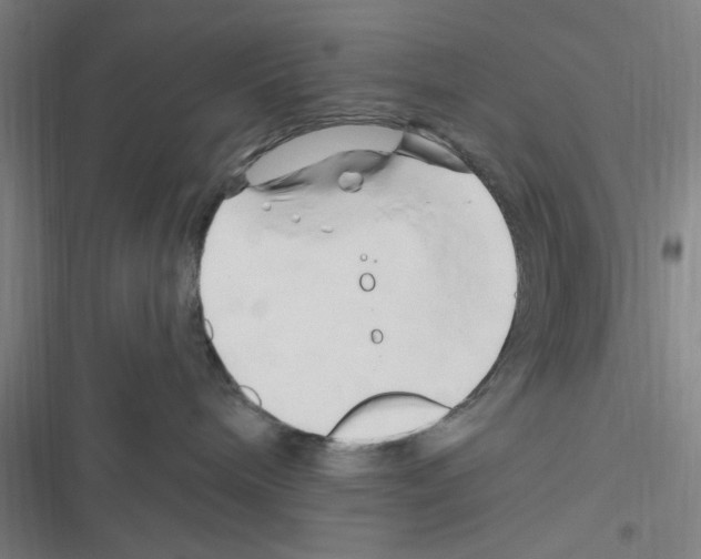 X0000116280240201001111042