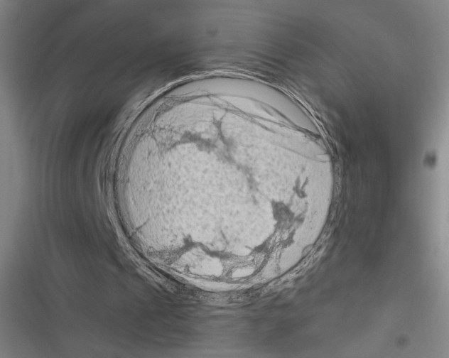 X0000116280241201001111041