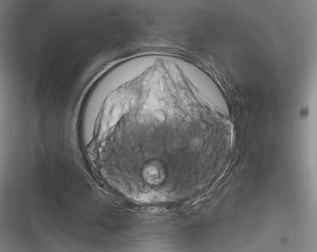 X0000116280243201001111041