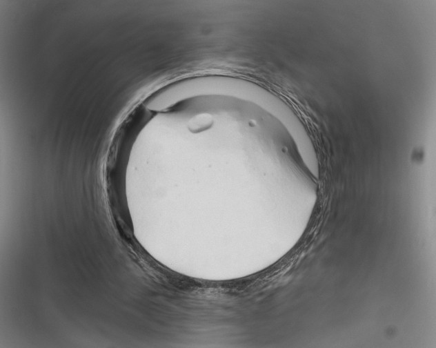 X0000116280244201001111041