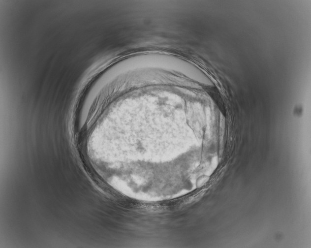X0000116280245201001111041