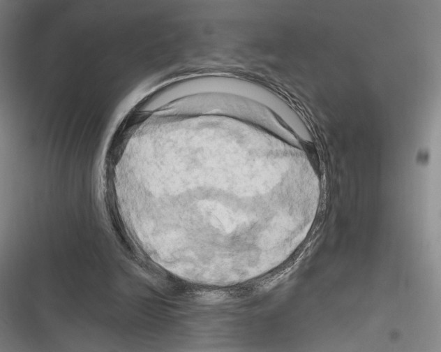 X0000116280246201001111041