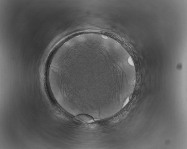 X0000116280247201001111041