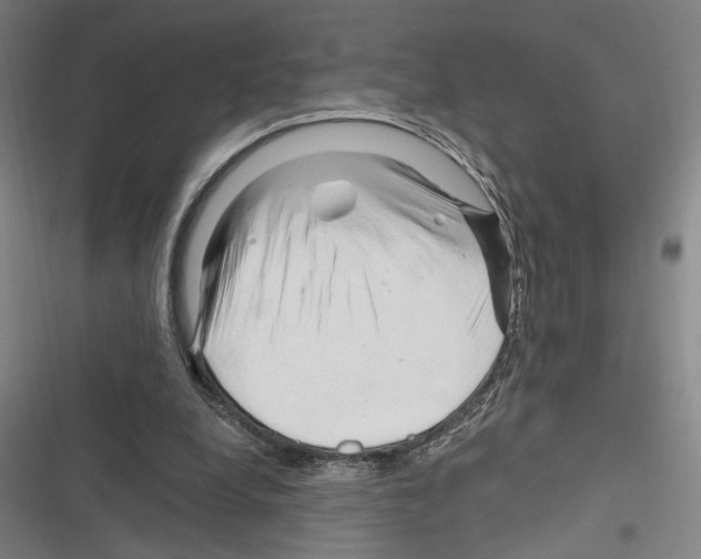 X0000116280248201001111041