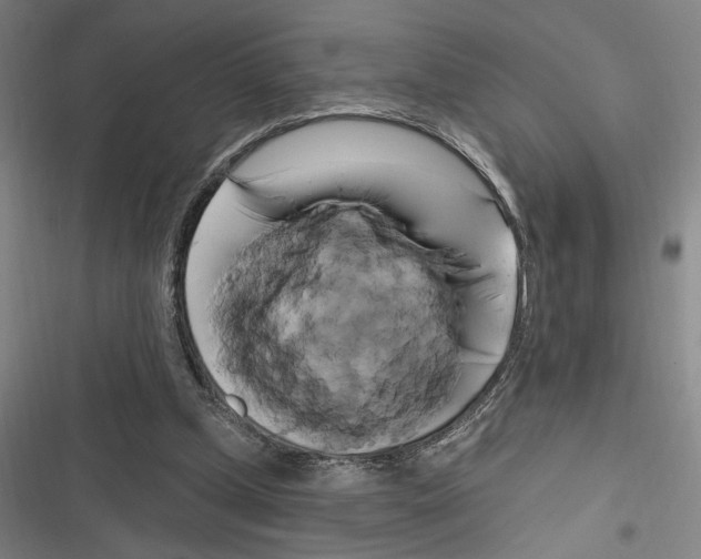X0000116280249201001111041