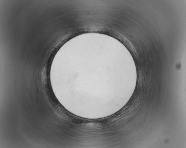 X0000116280251201001111041